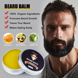 Beard Styling and Care Kit